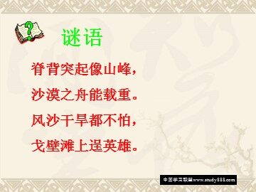16* 找骆驼
