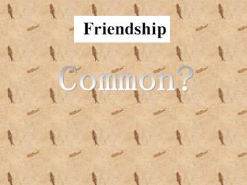 Friendship_课件42