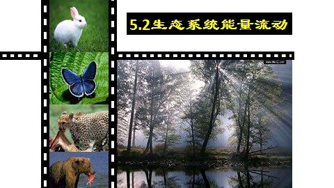 科学·技术·社会 生态农业