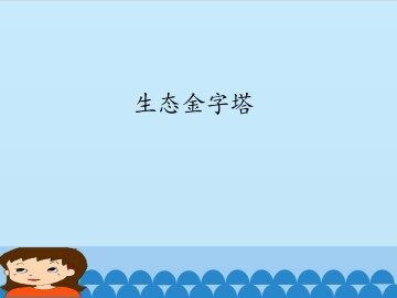 生态金字塔_课件1
