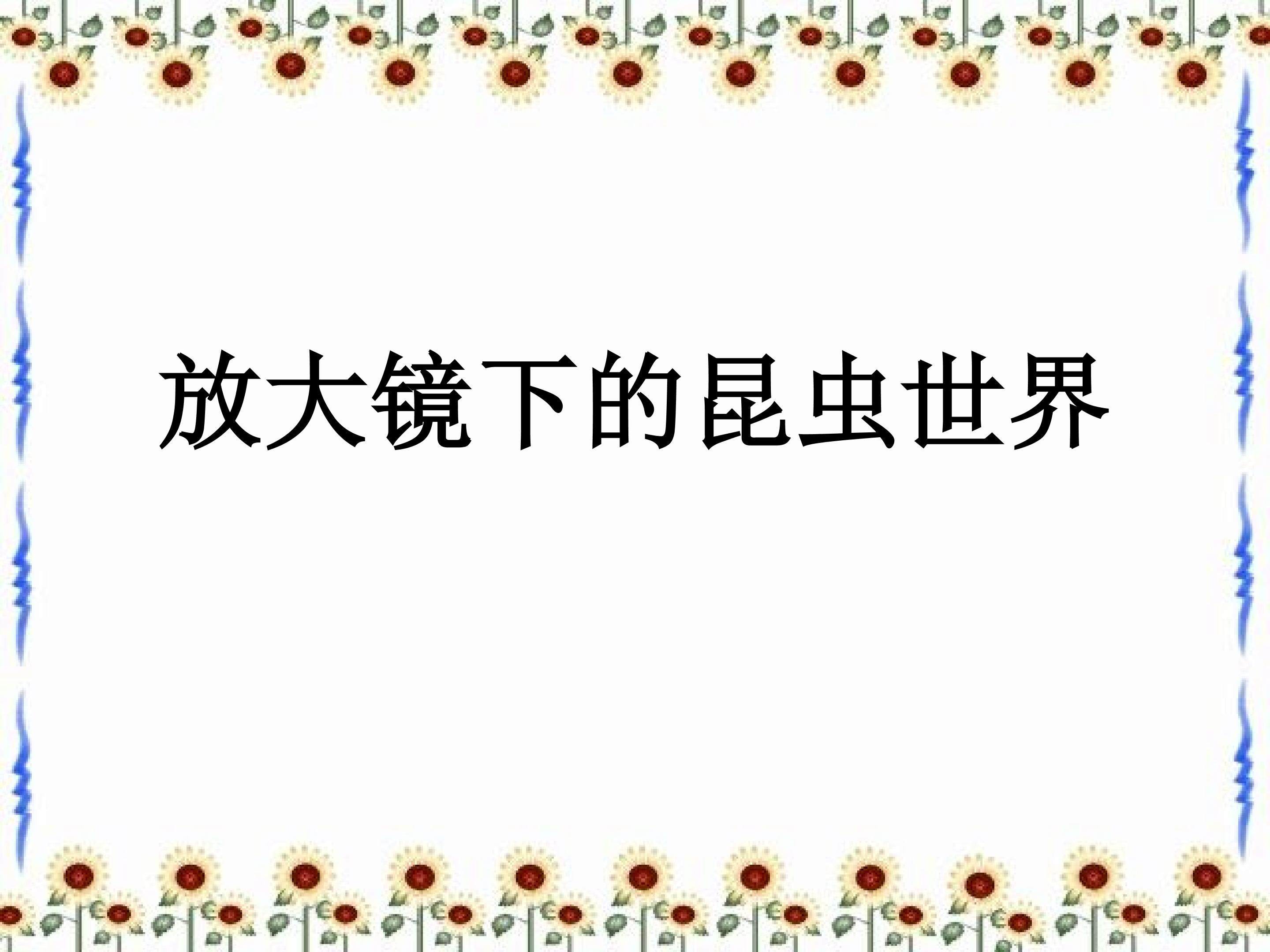 放大镜下的昆虫世界