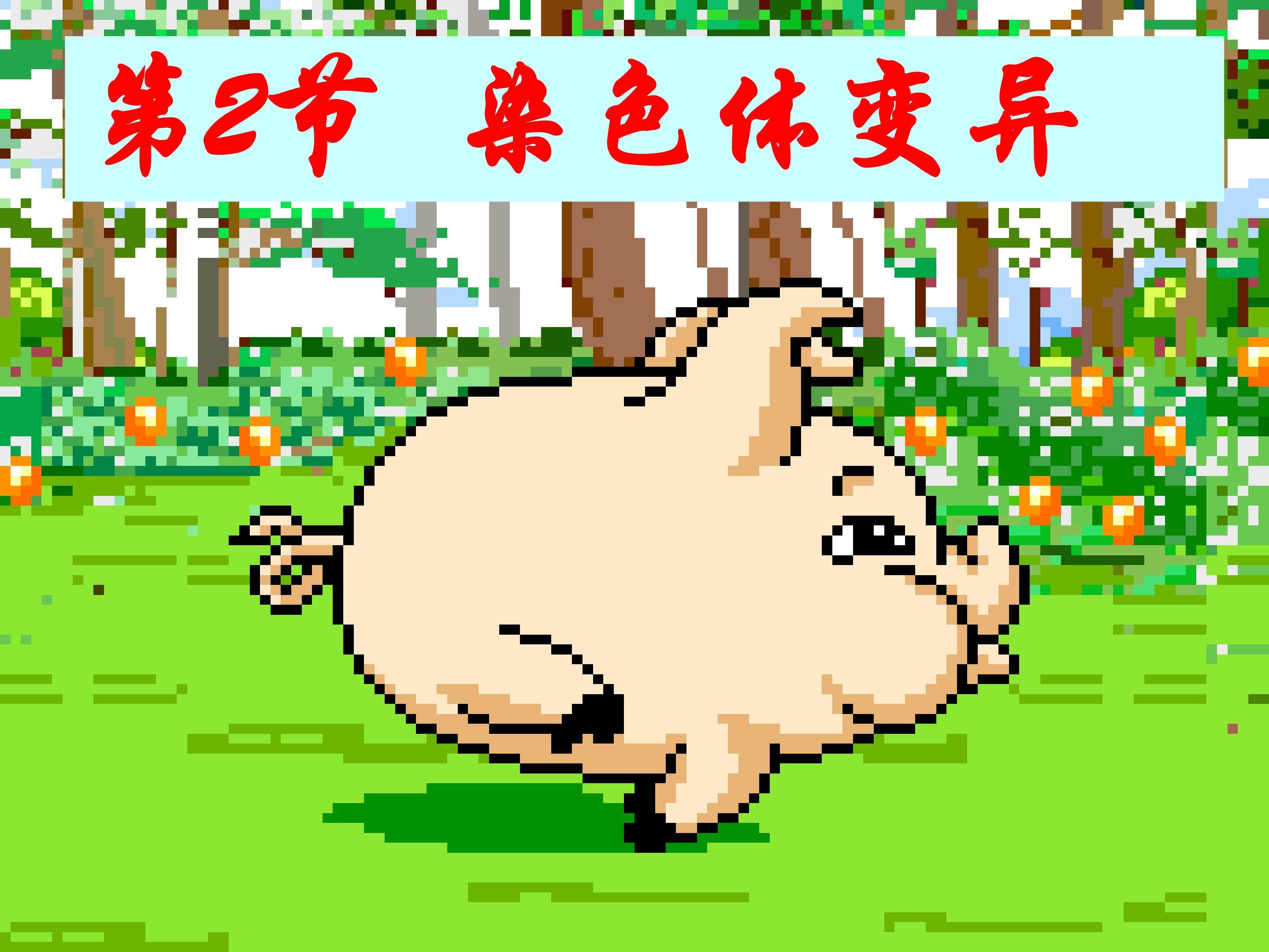 染色体变异