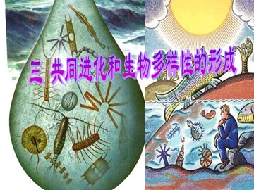 生物高中必修2第七章第二节第三课时课件7