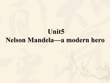 Nelson Mandela - a modern hero_课件27