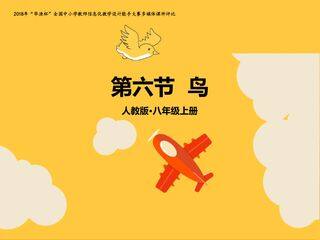 鸟的主要特征