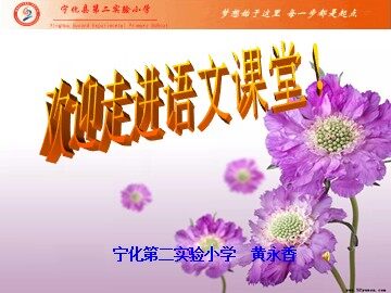 珍珠鸟