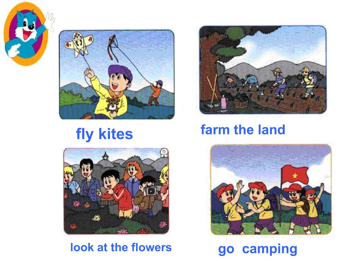 5.jpg