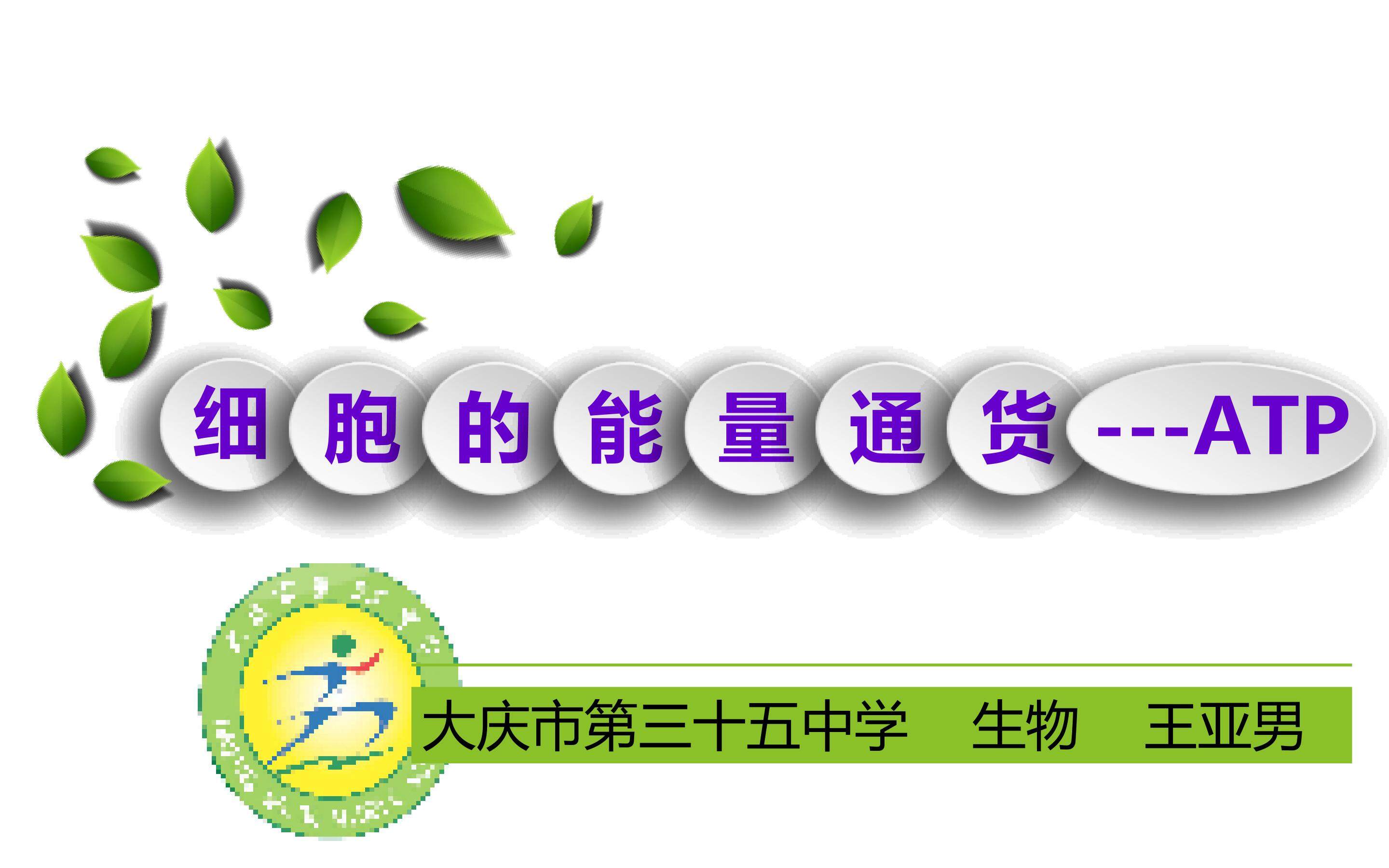 《细胞的能量通货---ATP》说课PPT