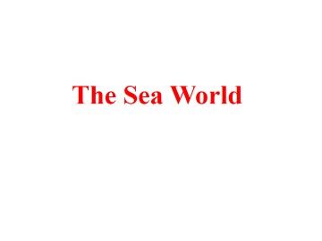 The Sea World_课件1