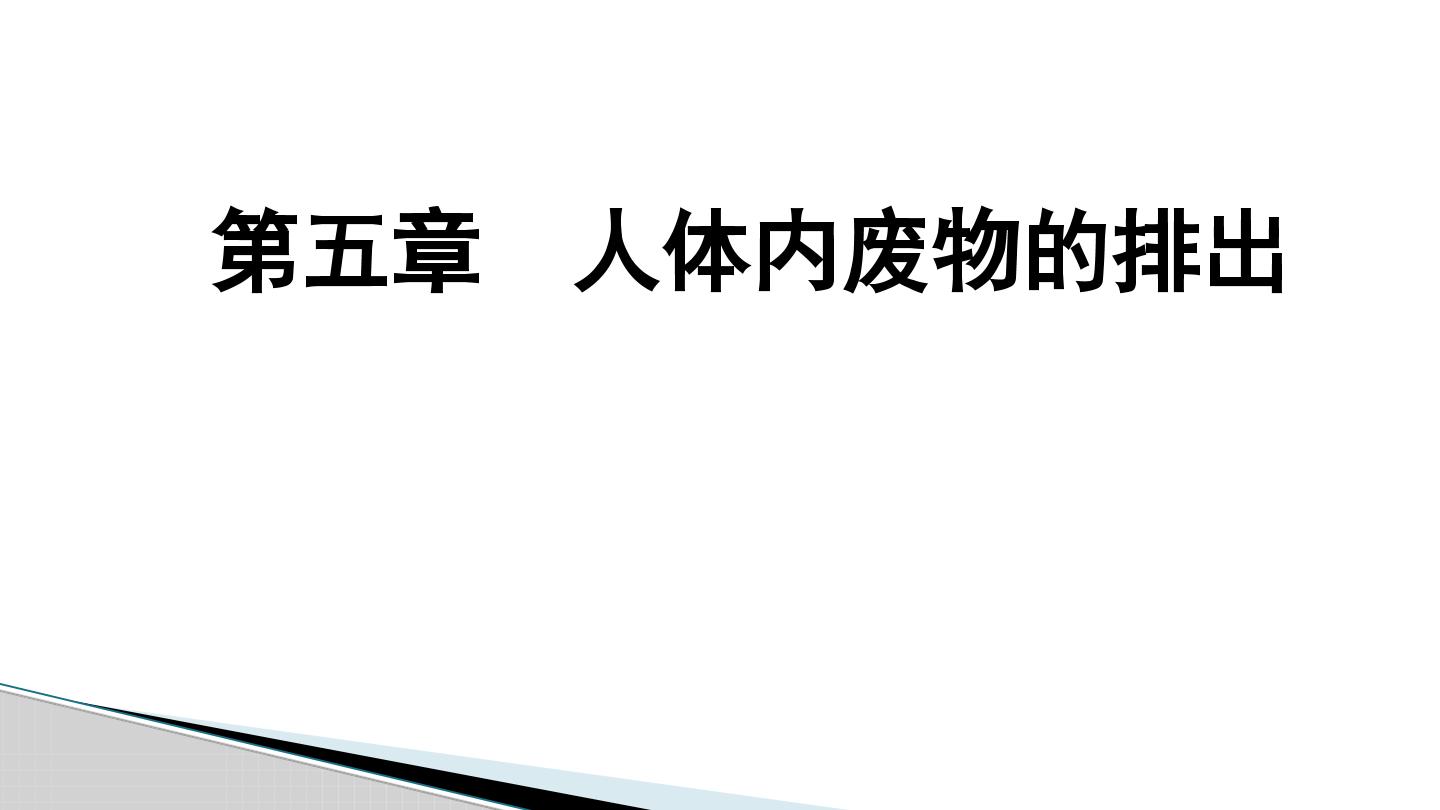 人教版初中生物第四单元第五章排出人体内产生的废物