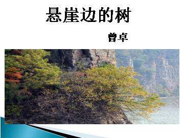 悬崖边的树_课件1