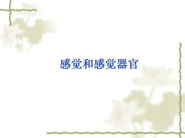 感觉和感觉器官_课件3