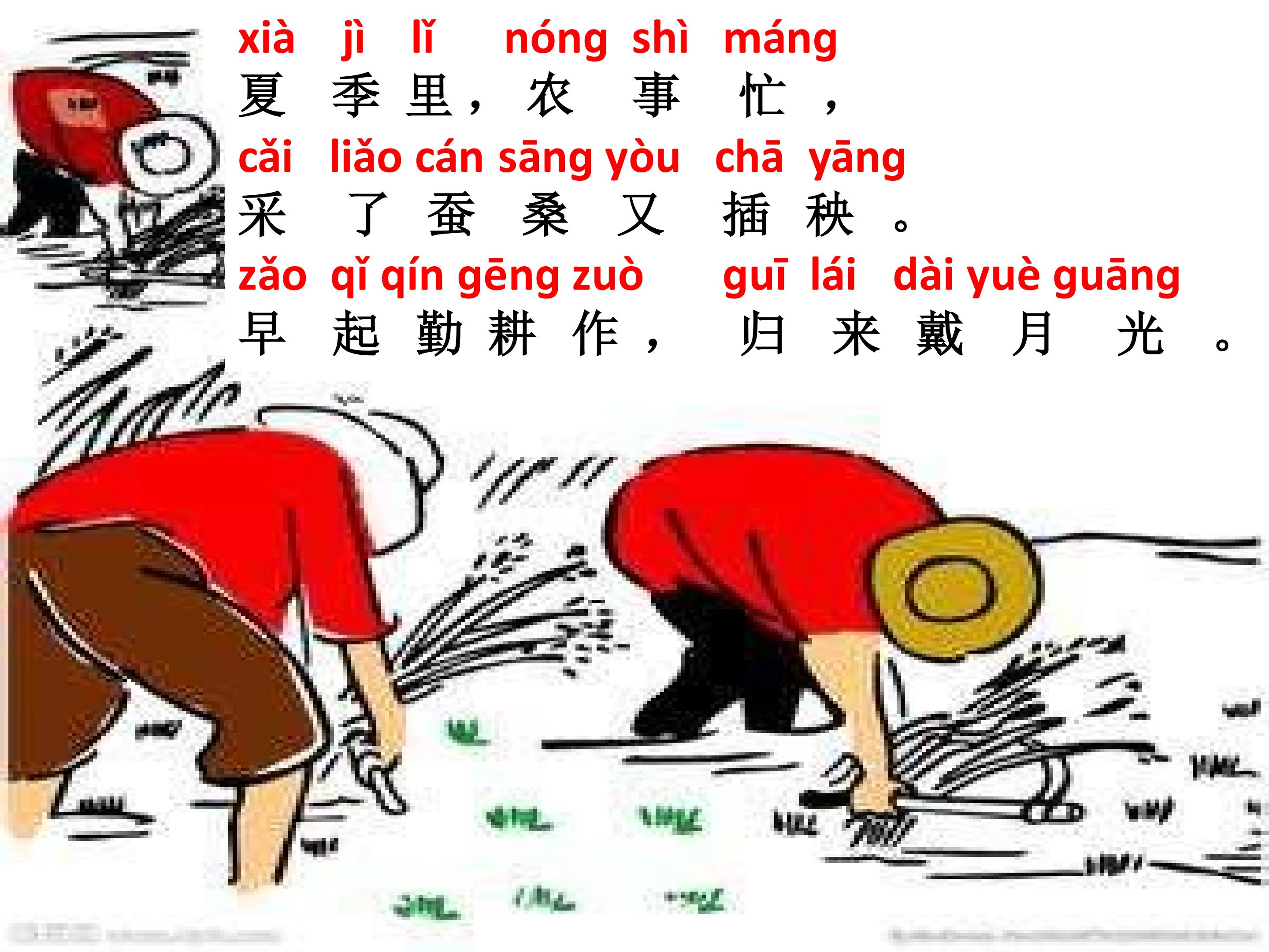 34.jpg