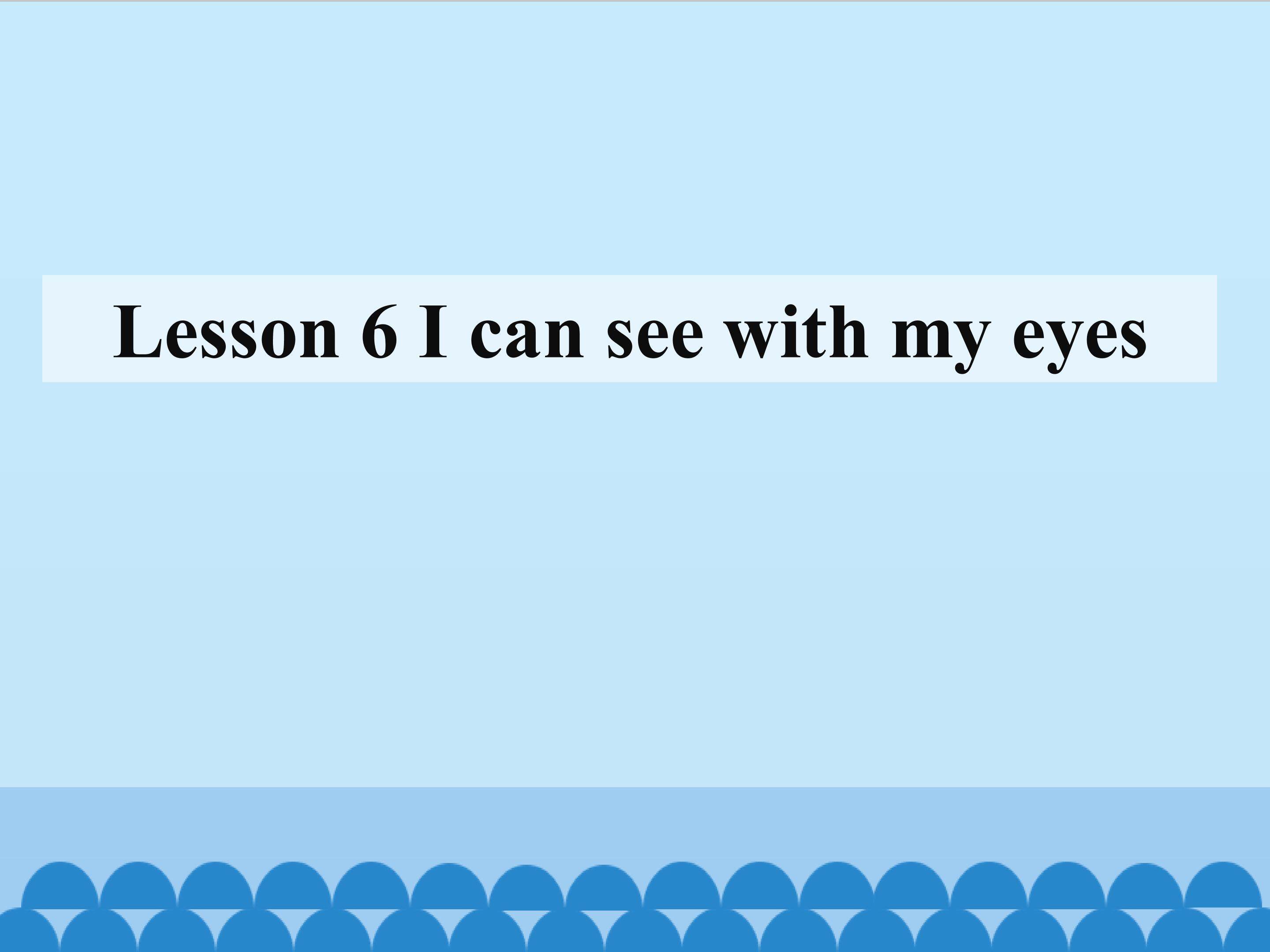 Lesson 6 I can see with my eyes