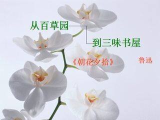 从百草园到三味书屋_课件14