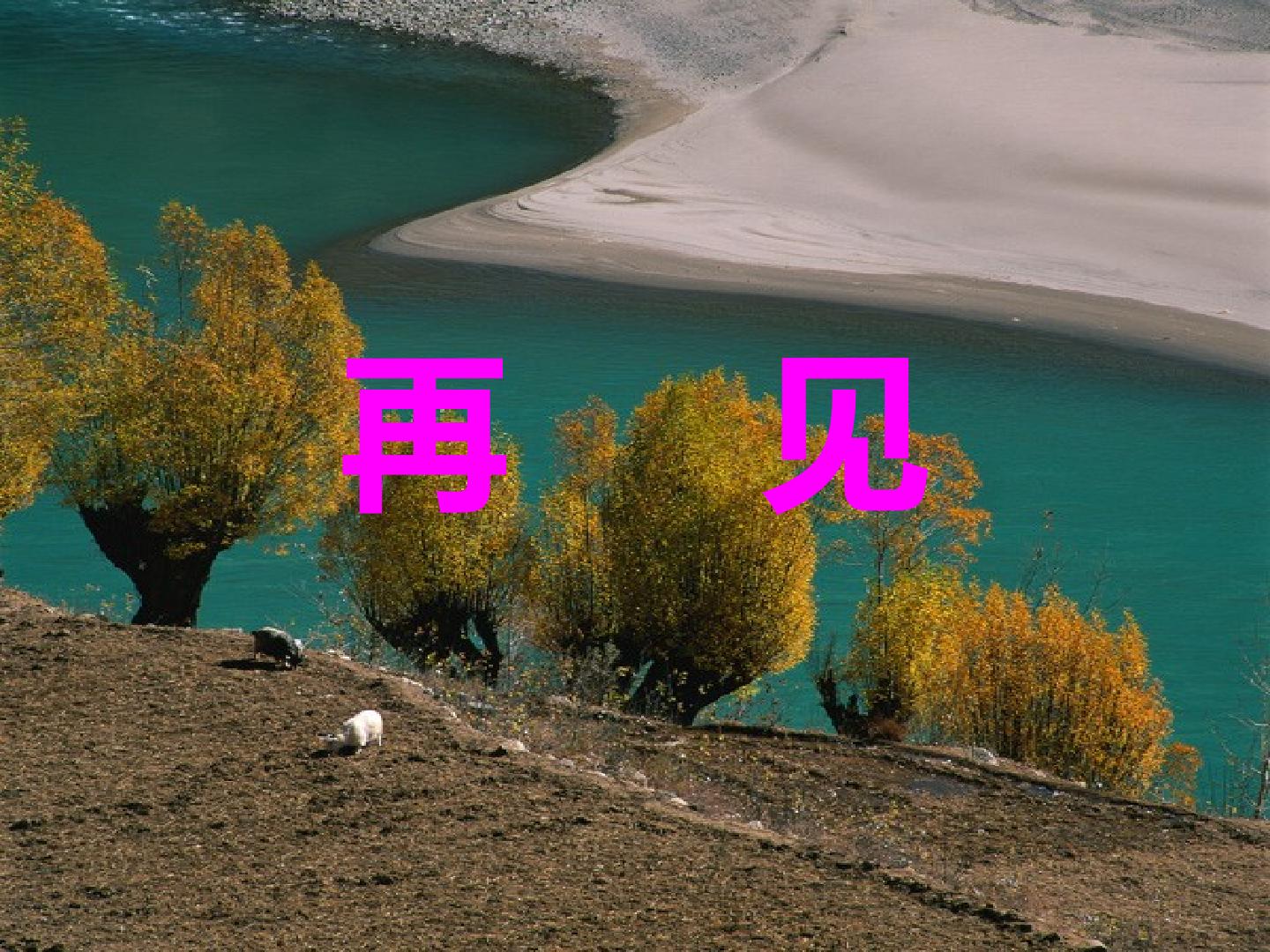 21.jpg