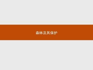 森林及其保护_课件1