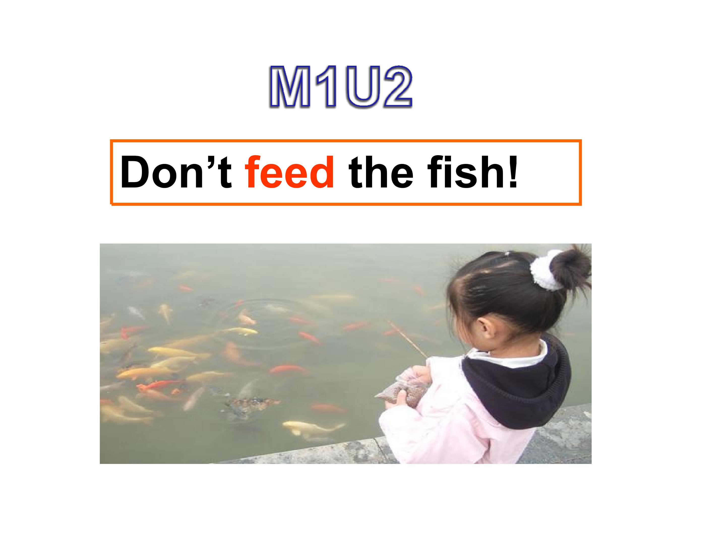 Don't feed the fish.