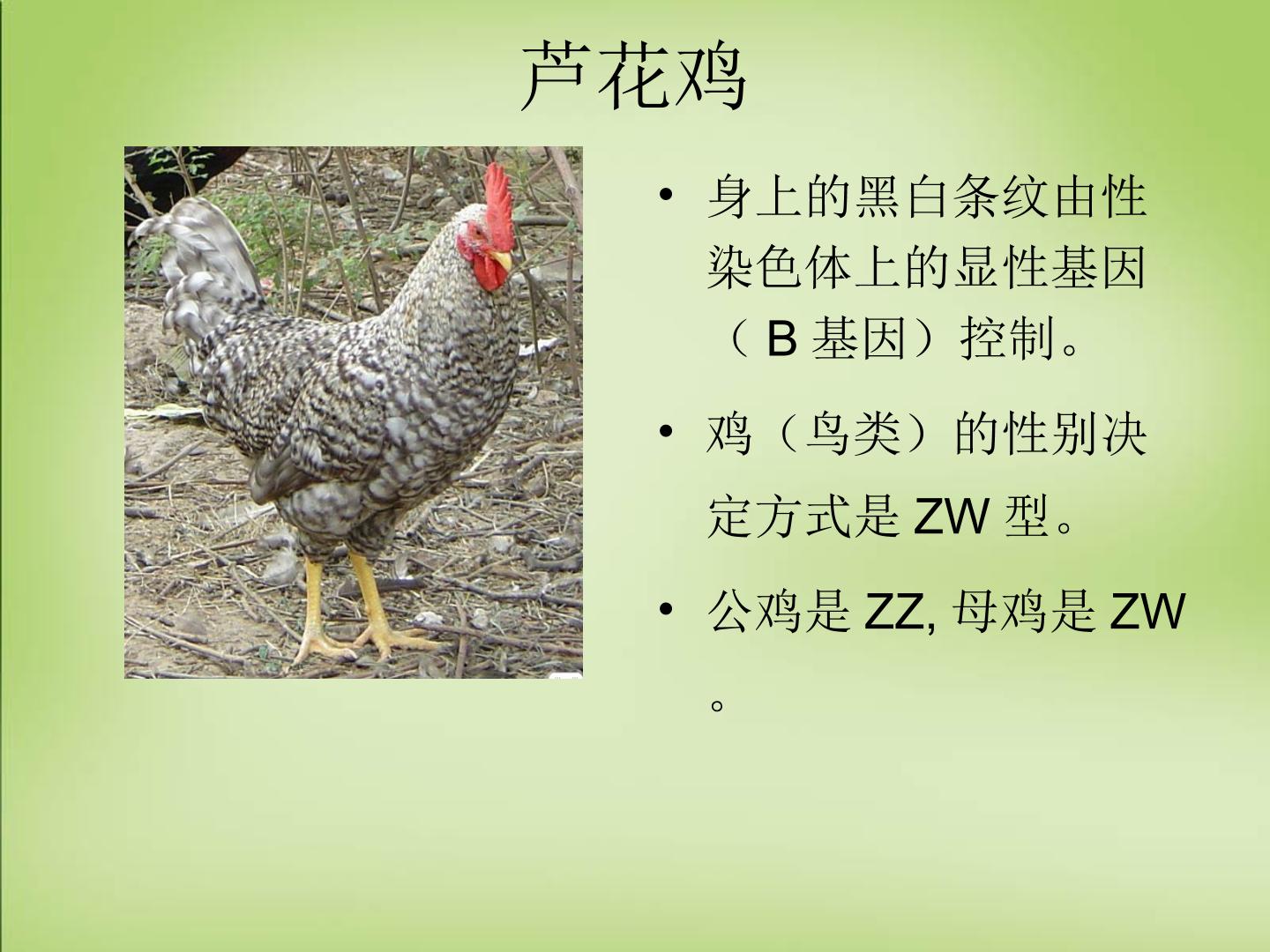27.jpg