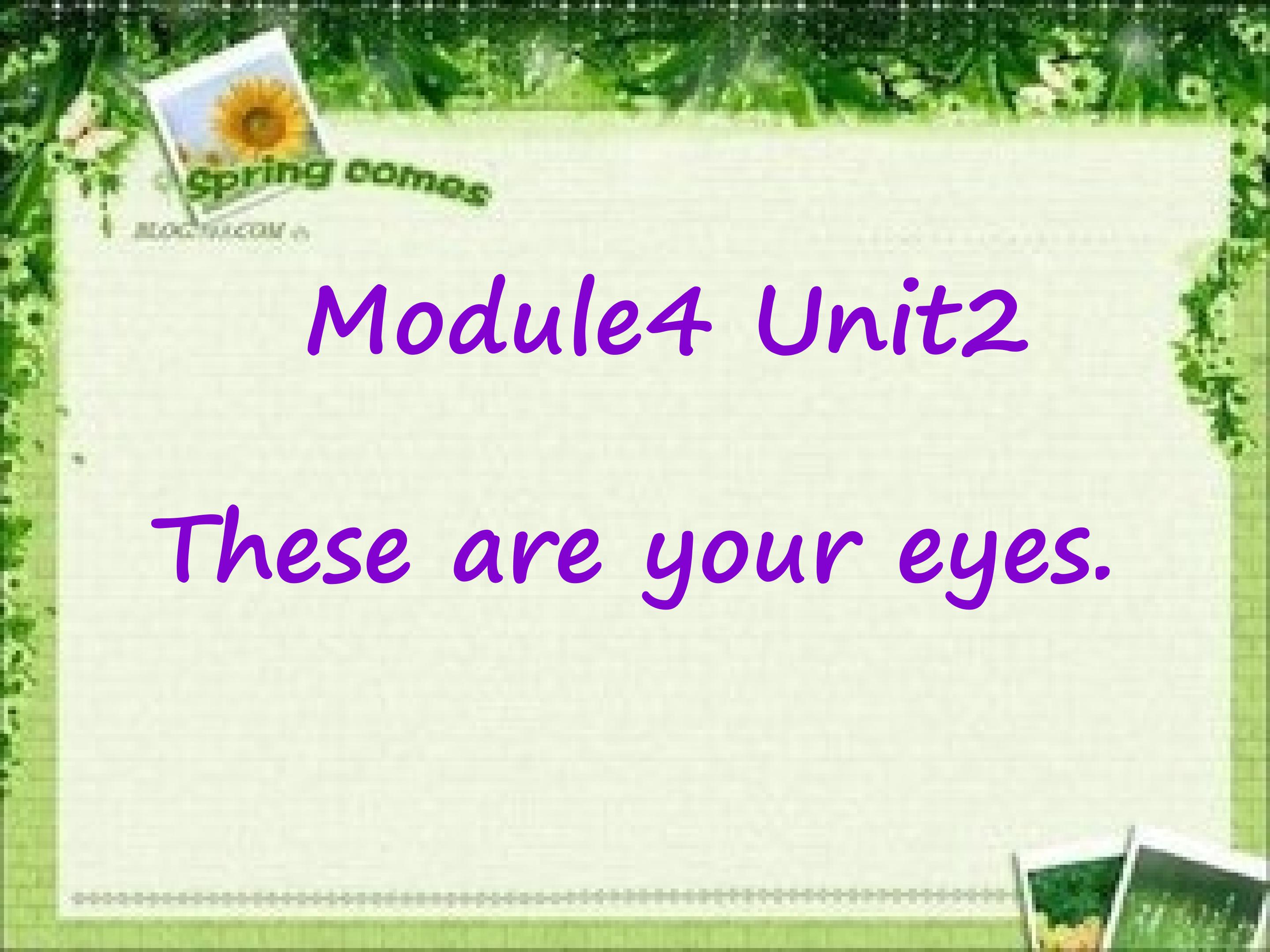 Module4  Unit2 These are your eyes.