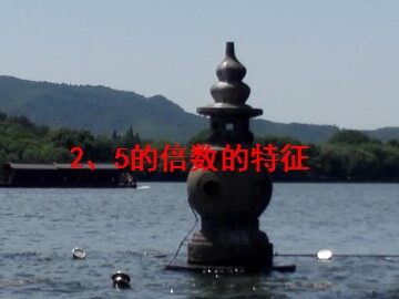 2、5的倍数的特征