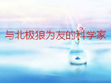 与北极狼为友的科学家_课件1
