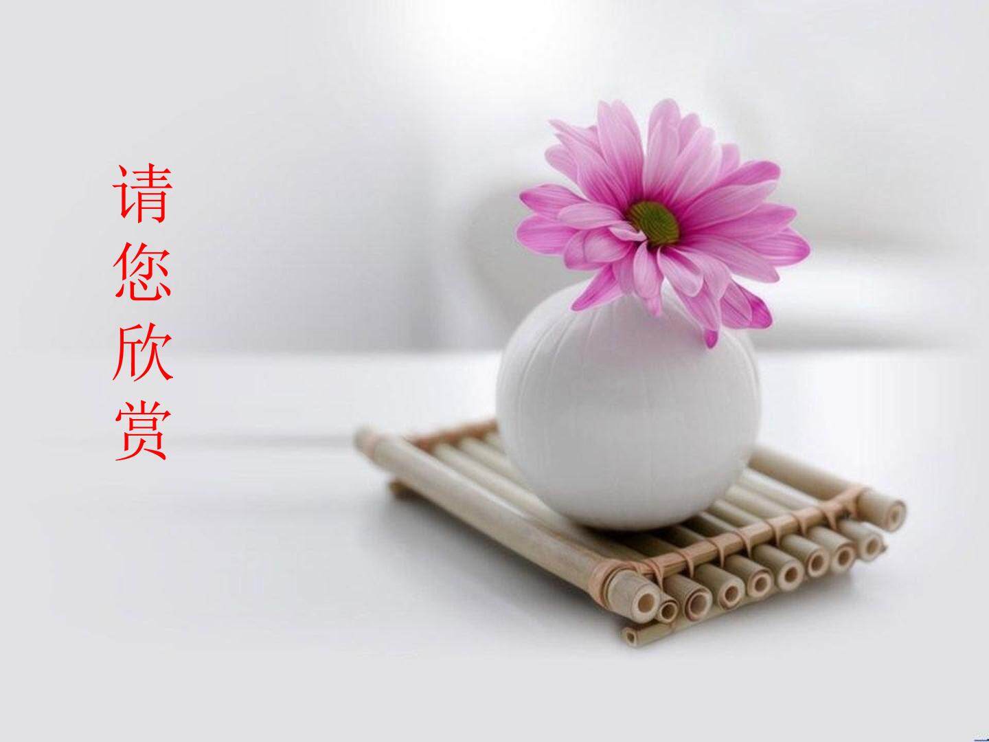圆的标准方程