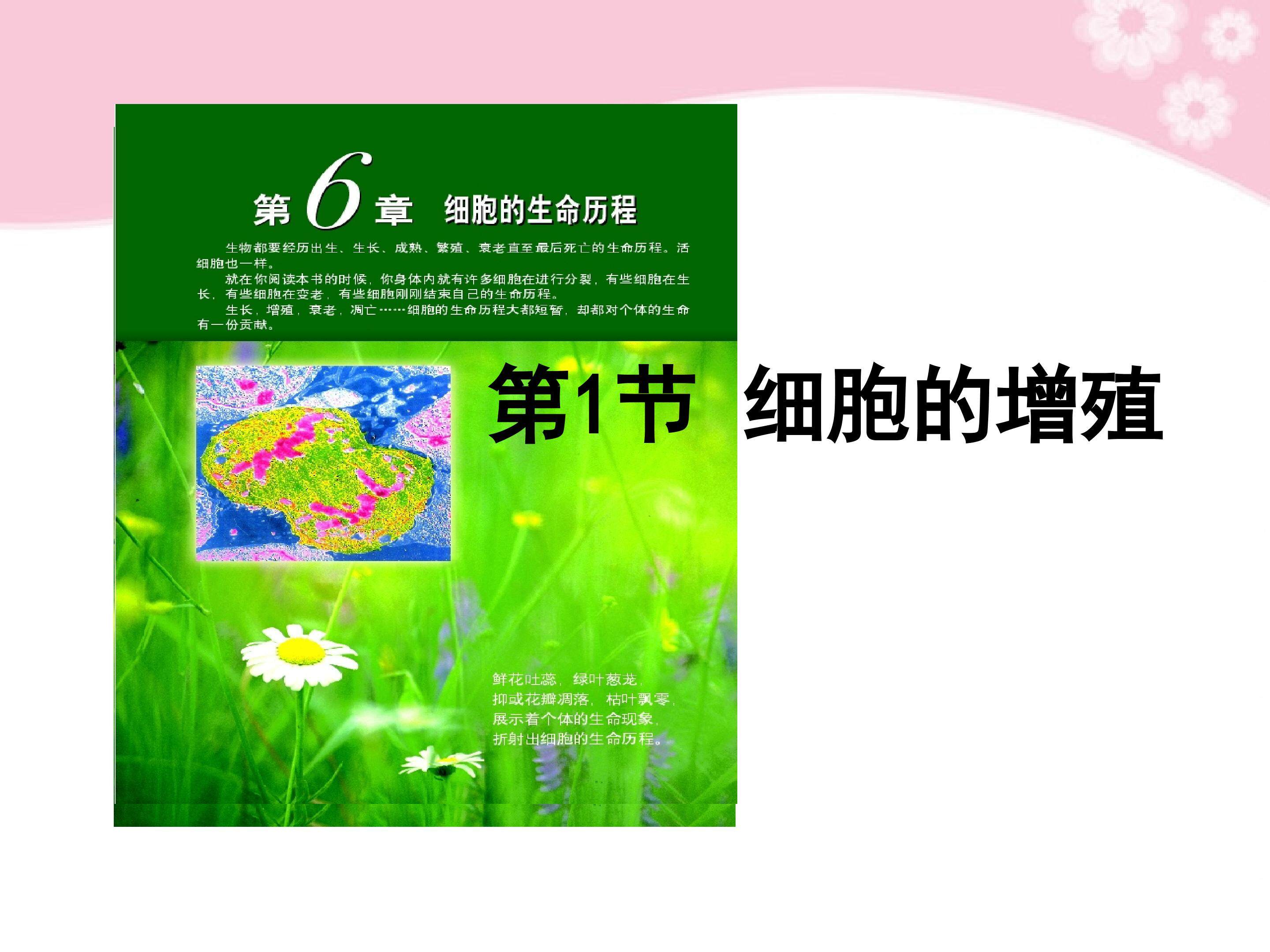 1.6.1  细胞增殖