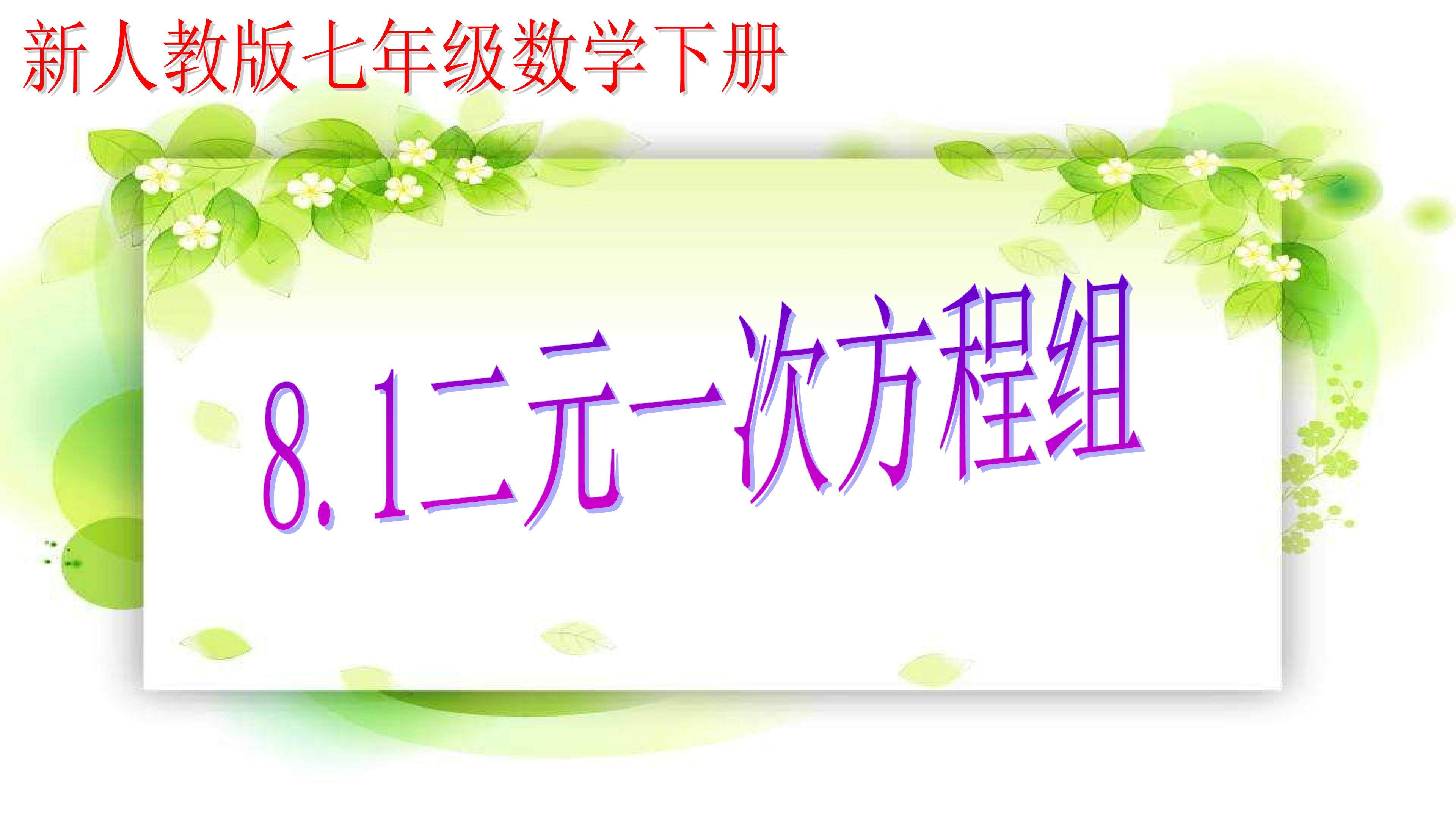 8.1二元一次方程组