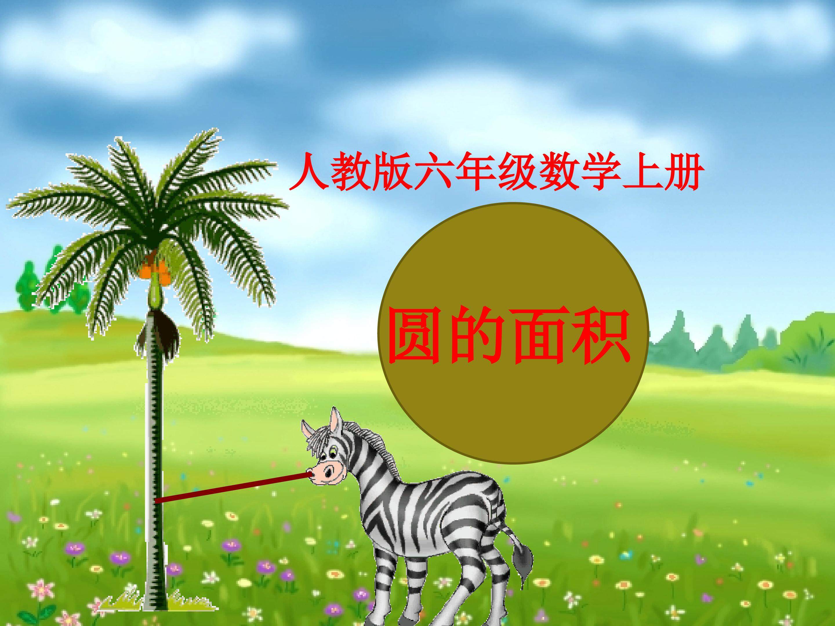 圆的面积计算