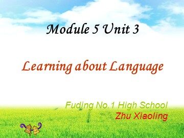 learning about language