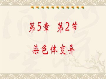 生物高中必修2第五章第二节课件1