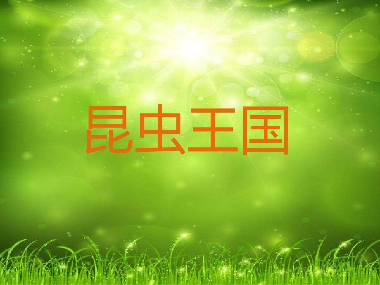 《昆虫王国——蚂蚁的故事》