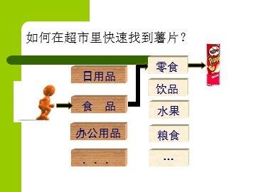 第一节 物质的分类