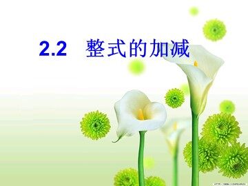 信息技术应用 电子表格与数据计算