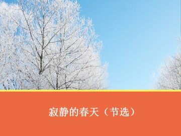 寂静的春天（节选）_课件1