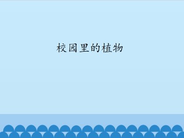 校园里的植物_课件1