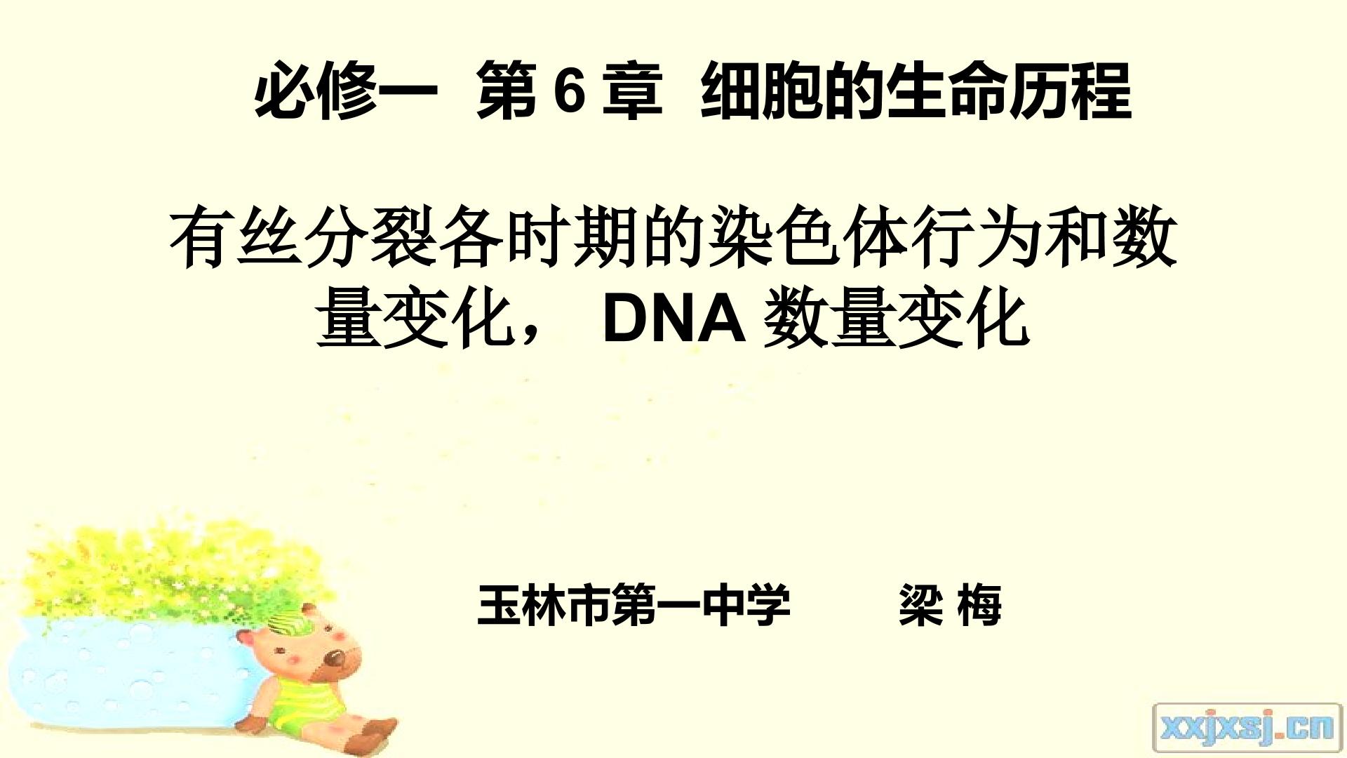 有丝分裂各时期染色体形态和数量变化，DNA数量变化