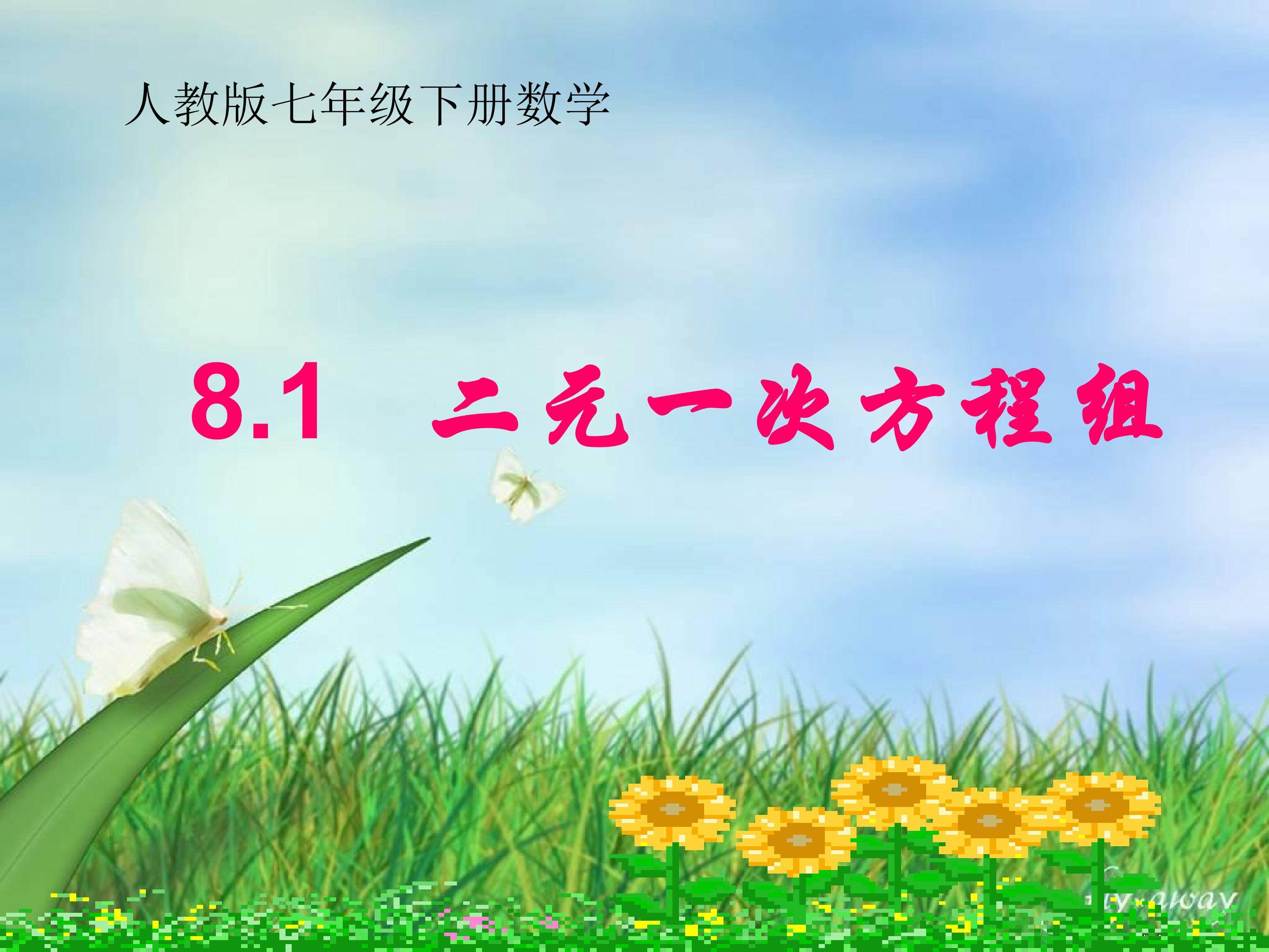8.1二元一次方程组