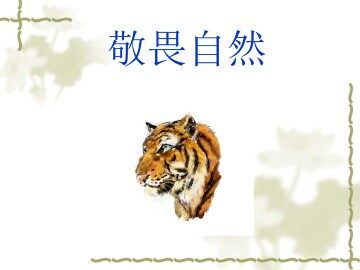 敬畏自然_课件9
