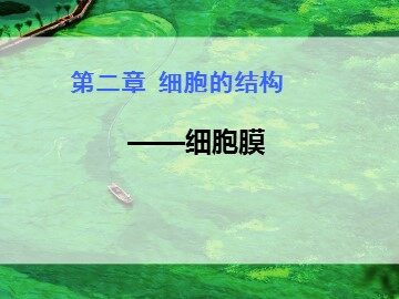 第1节  细胞膜——系统的边界