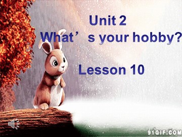 Unit 2  What's your hobby?