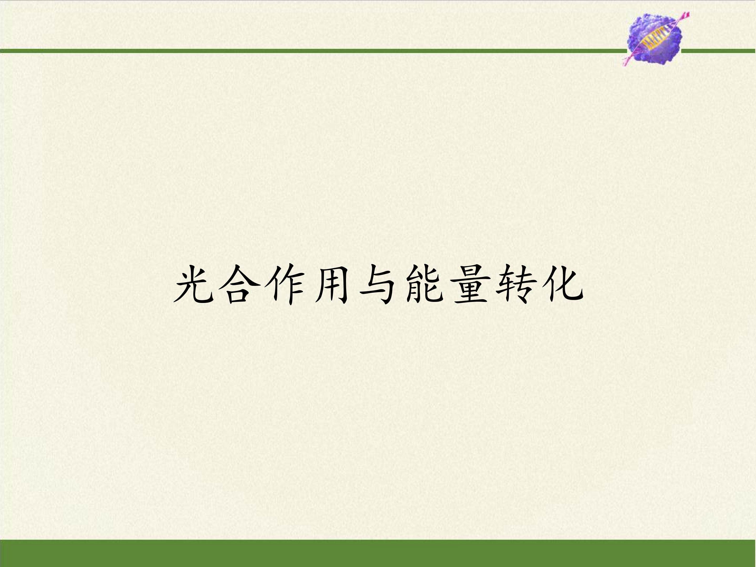 光合作用与能量转化