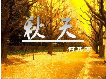 14 *秋天