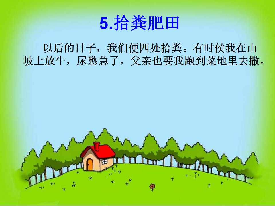 47.jpg