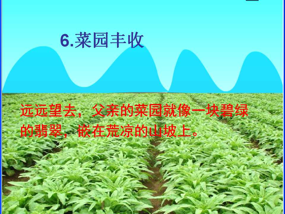 49.jpg