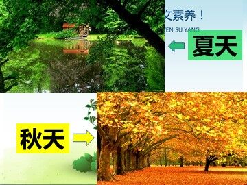 1 秋天