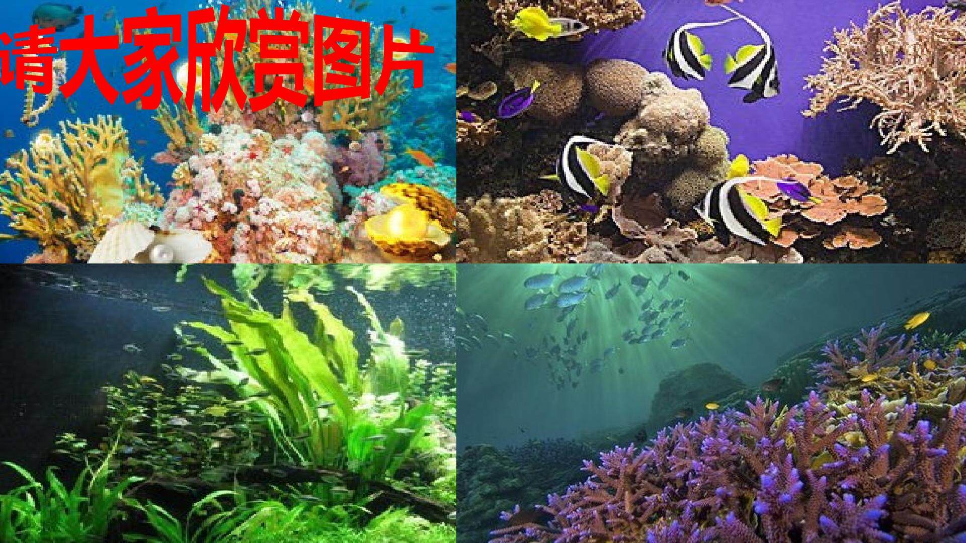 海底两万里