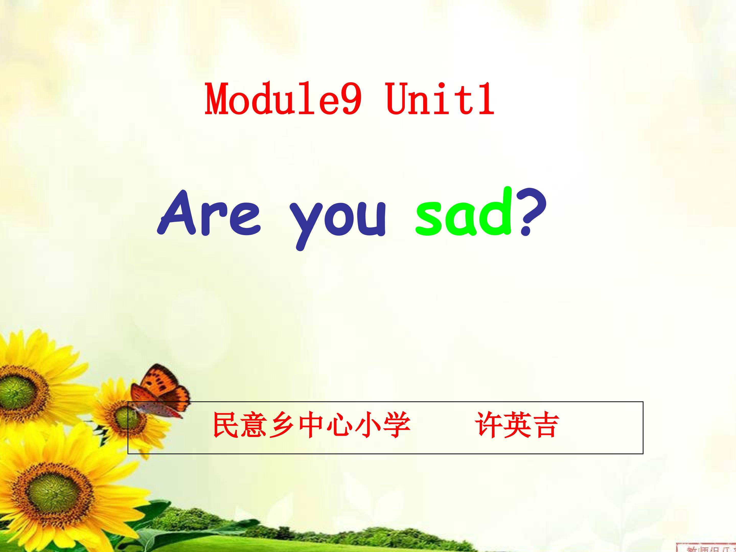 Module9Unit1 Are you sad?