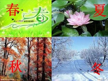 循环小数